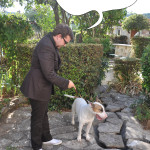 doctorme5